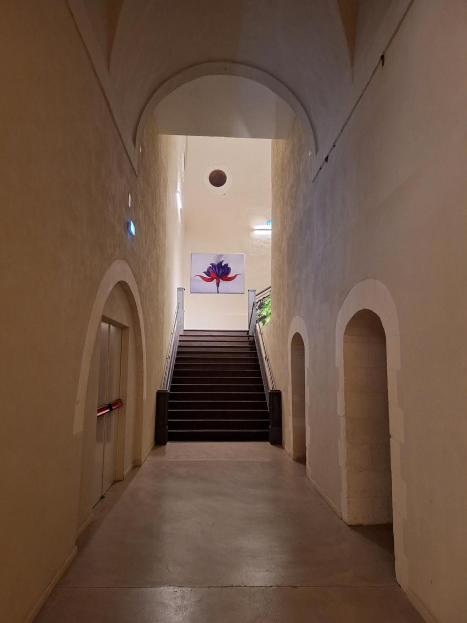 Chiostro Dei Domenicani - Dimora Storica Lecce Bagian luar foto